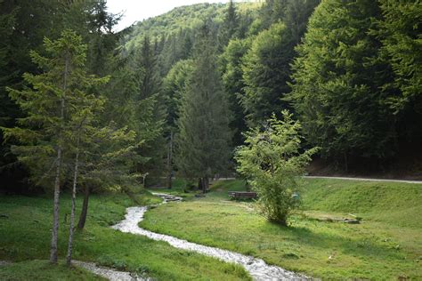 Despre Vama Buzăului